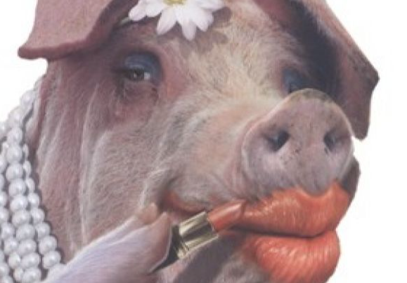 Still A Pig