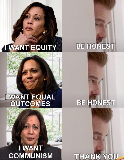 Who Democrats Really Are 